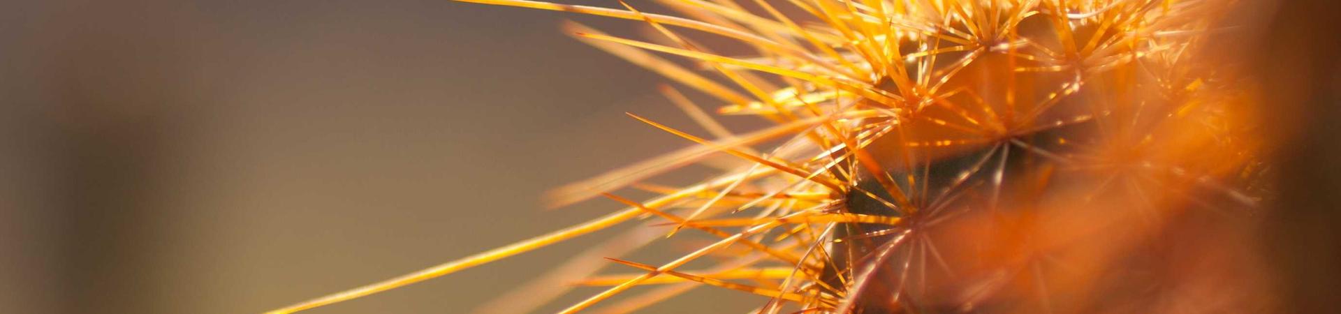 潍坊乐景水族用品有限公司 &middot; 和龙运营中心